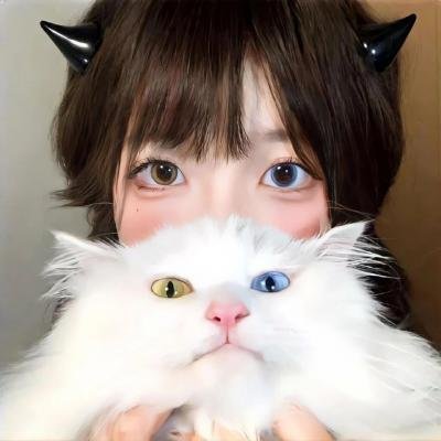安吉里卡奇遇